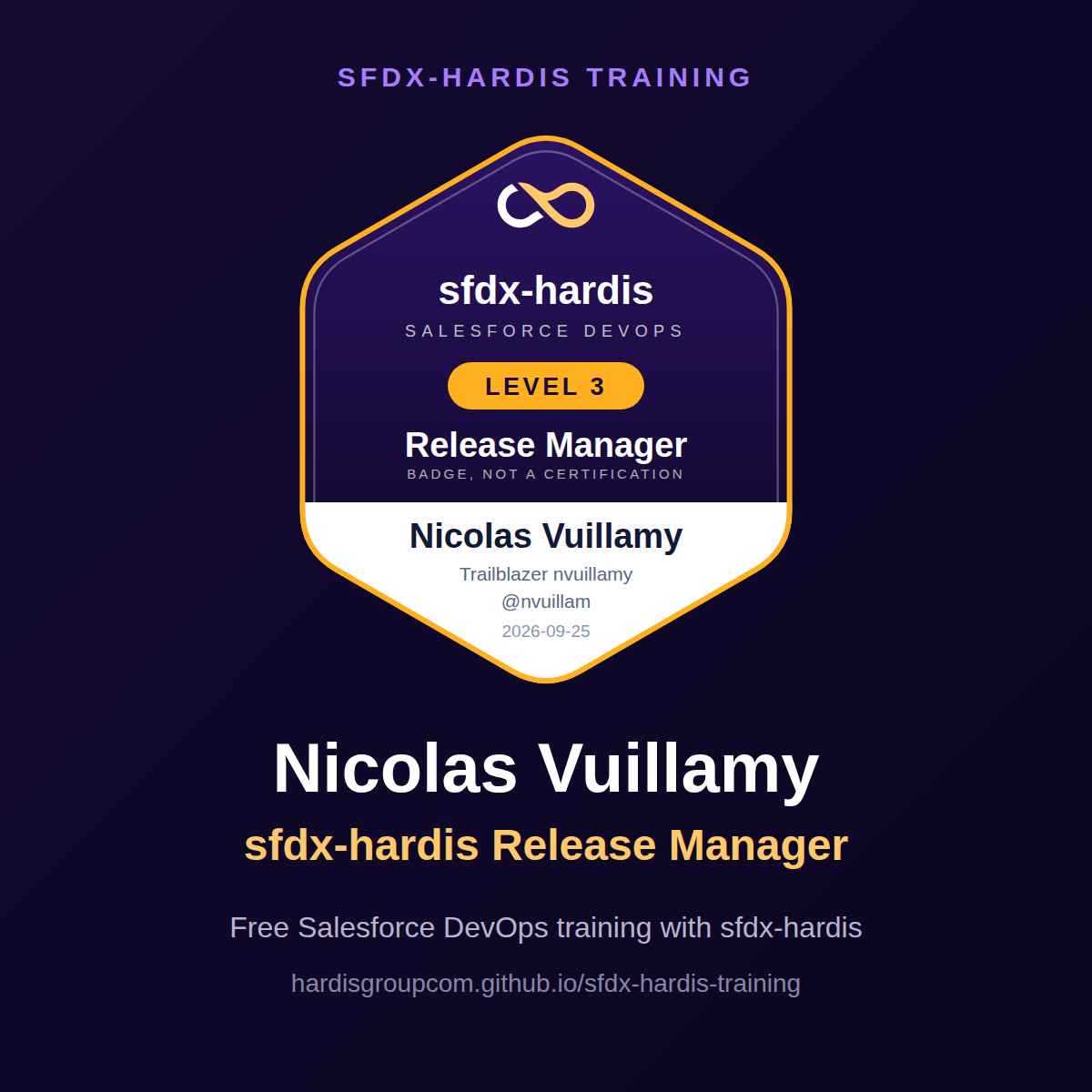 Nicolas Vuillamy, sfdx-hardis Release Manager